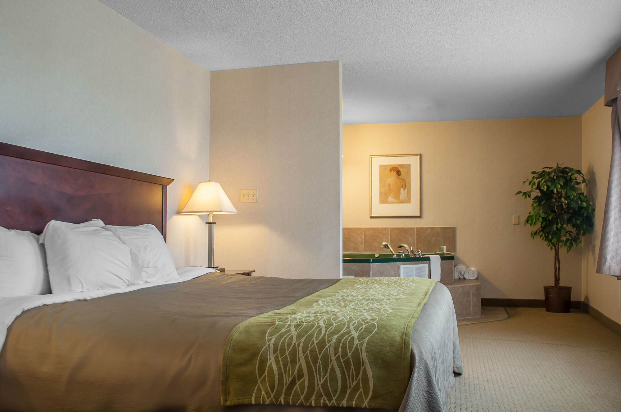 Comfort Inn & Suites Беррі Номер фото